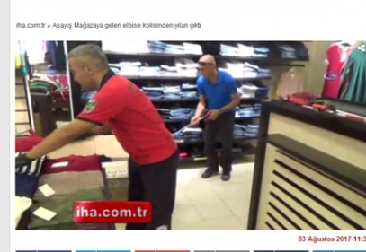 Mağazaya gelen elbise kolisinden yılan çıktı