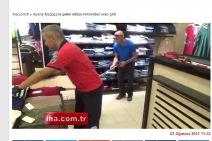 Mağazaya gelen elbise kolisinden yılan çıktı
