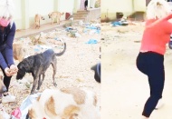 Mamaları çalan hırsızı beyzbol sopasıyla dövdü