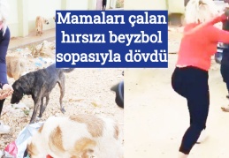 Mamaları çalan hırsızı beyzbol sopasıyla dövdü
