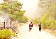 Manavgat'ta 60 bin hektar ormanlık alan kül oldu, 7 kişi yaşamını yitirdi, 33 bin hayvan öldü