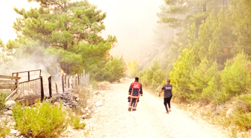 Manavgat'ta 60 bin hektar ormanlık alan kül oldu, 7 kişi yaşamını yitirdi, 33 bin hayvan öldü