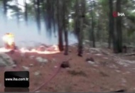 Manavgat'ta düşen yıldırım yangına yol açtı