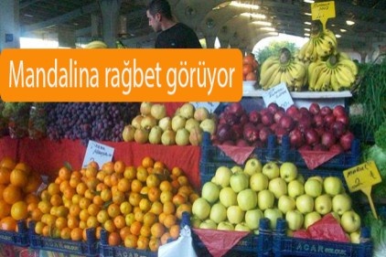 Mandalina rağbet görüyor