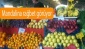 Mandalina rağbet görüyor