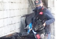 Mangalda uyuşturucu bulundu