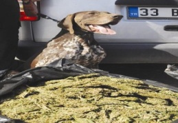 Maraş-Antep yolunda esrar operasyonu