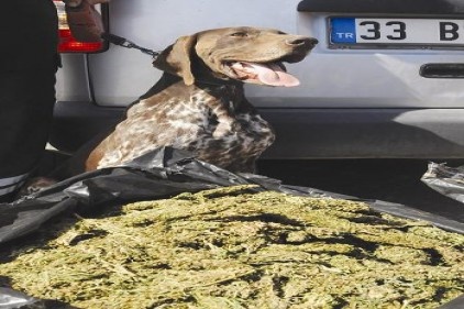 Maraş-Antep yolunda esrar operasyonu