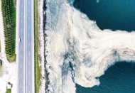 'Marmara Denizi afet bölgesi ilan edilmeli'