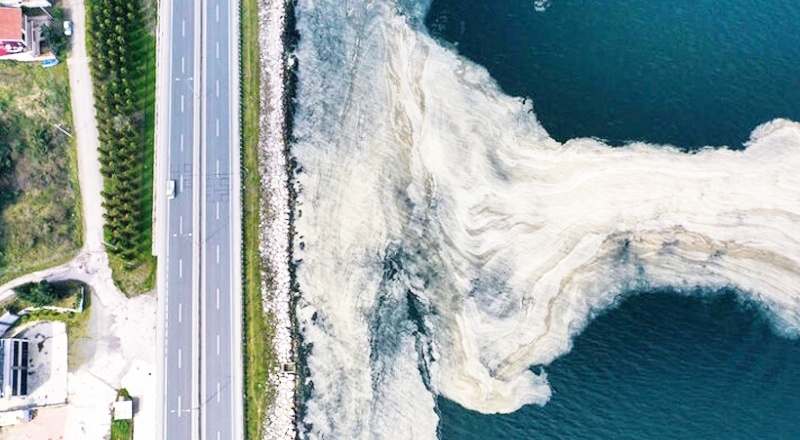 'Marmara Denizi afet bölgesi ilan edilmeli'
