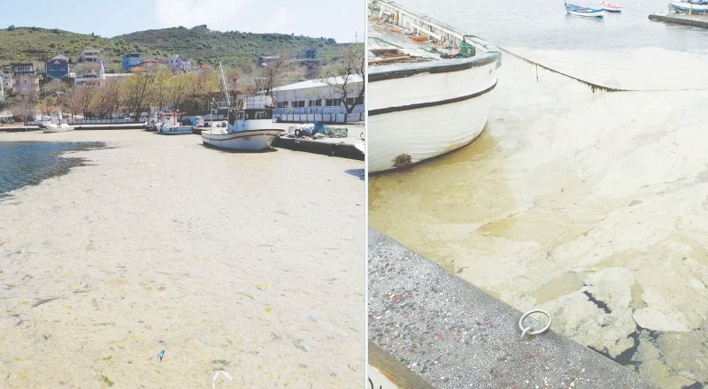 Marmara Denizi'ndeki kirlilik, bulaşıcı hastalıklara yol açabilir