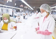 Maske ve eldivende ihracat yasağı kaldırıldı