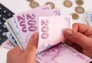 "Mayıs ayı nakdi ücret desteği ödemeleri başladı"
