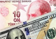 MB'nin rezervlerinde 20 milyar dolar azalma oldu