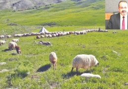 Mera alanlarının üzerine GES kurulması tarım ve hayvancılığa darbe vuracak