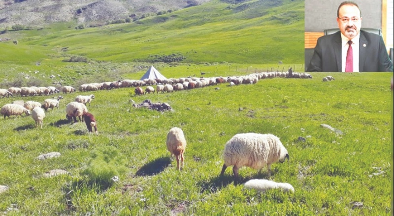Mera alanlarının üzerine GES kurulması tarım ve hayvancılığa darbe vuracak