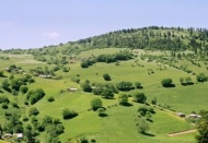 Meralar, imara ve ranta açıldı, hayvancılık bitti