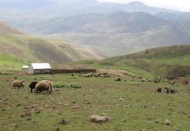 Meralara sanayi tesisi yapılamayacak