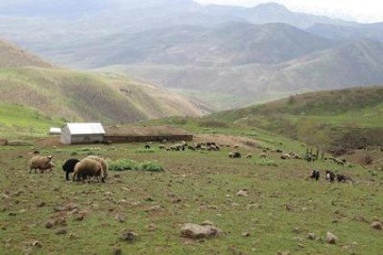 Meralara sanayi tesisi yapılamayacak 