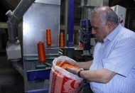 Mercimek üretiminde yüzde 20 artış bekleniyor
