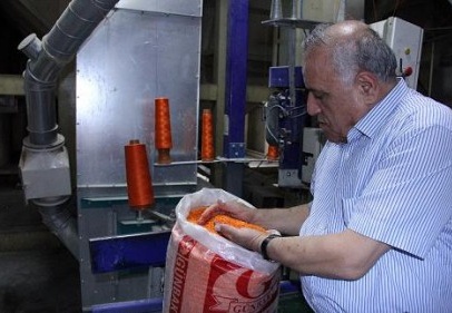 Mercimek üretiminde yüzde 20 artış bekleniyor