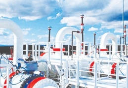 Merkez Bankası, BOTAŞ'a 5 ay aradan sonra döviz sattı