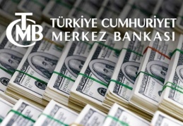 Merkez Bankası Kasım ayı piyasa katılımcıları anketi: Dolar/TL'de 12 ay sonrası endişe verici