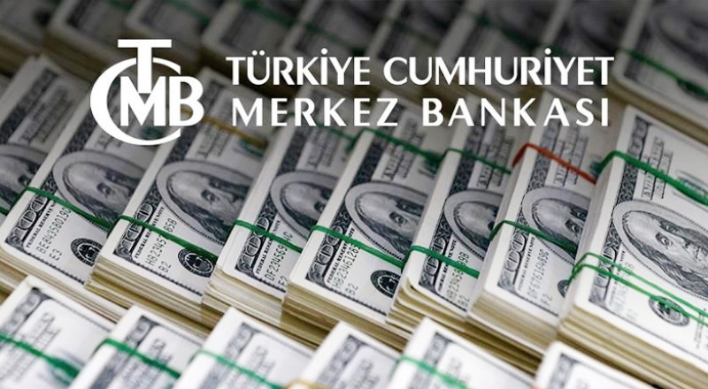 Merkez Bankası Kasım ayı piyasa katılımcıları anketi: Dolar/TL'de 12 ay sonrası endişe verici