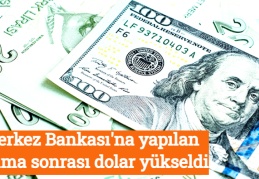 Merkez Bankası'na yapılan atama sonrası dolar yükseldi