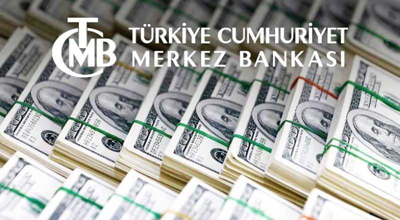 Merkez Bankası'ndan BOTAŞ'a rekor döviz satışı