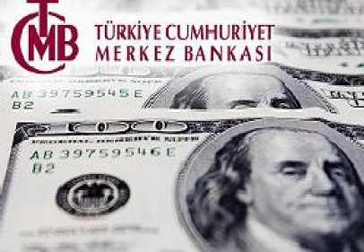 Merkez Bankasından döviz hamlesi