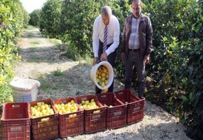 Mersin’den Cerattepe’ye limon desteği