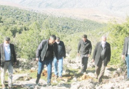 Meşe ormanı için itfaiye yolu isteniyor