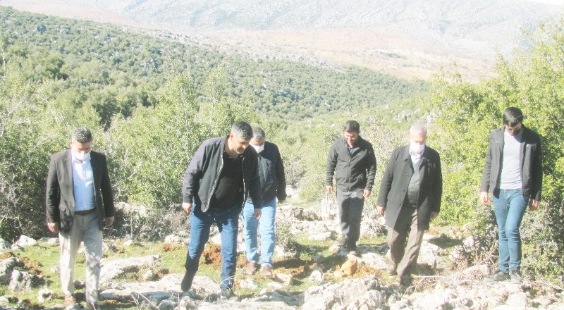 Meşe ormanı için itfaiye yolu isteniyor