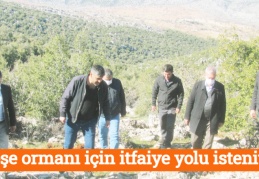Meşe ormanı için itfaiye yolu isteniyor