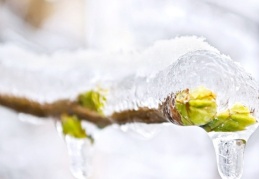 Meteoroloji Genel Müdürlüğü, kuvvetli fırtına ve zirai don uyarısı yaptı
