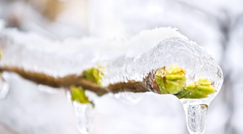 Meteoroloji Genel Müdürlüğü, kuvvetli fırtına ve zirai don uyarısı yaptı