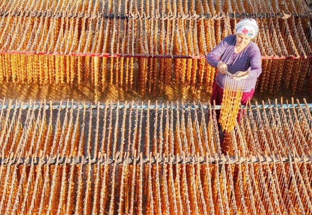 “Mevsimlerle Gaziantep” temalı fotoğraf yarışması sonuçlandı