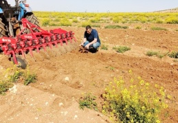 Meyve bahçelerini otlandırarak sürmek çok faydalı