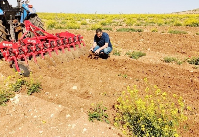 Meyve bahçelerini otlandırarak sürmek çok faydalı