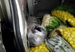 Meyve sebze balyalarının arasından 67 kilo esrar çıktı