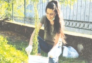 Meyve ve çam fidanları toprakla buluşturuldu