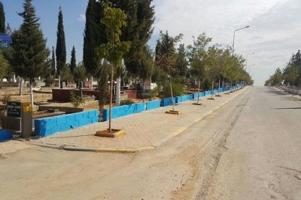 Mezarlıkta "renkli adalar" uygulaması başlatıldı