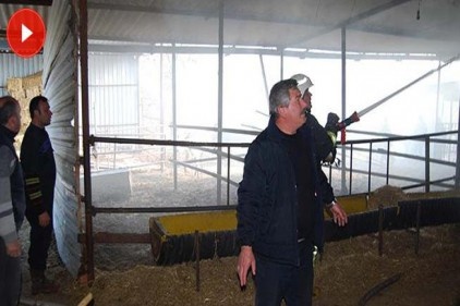 MHP ilçe başkanına ait çiftlikte korkutan yangın
