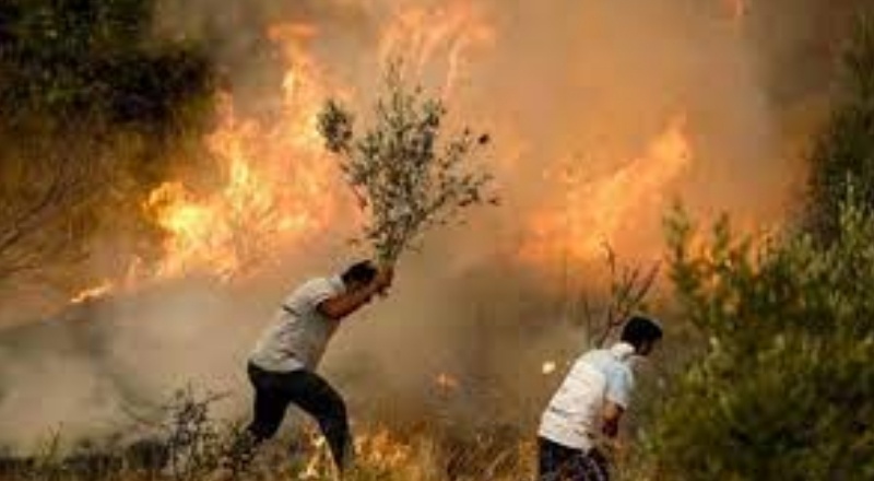 Milas ve Köyceğiz dışında tüm orman yangınları kontrol altına alındı