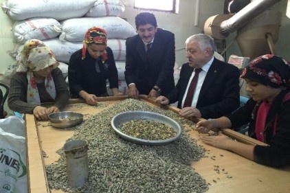 Milletvekili Adayı Uzer Sebze Hali Ve Fıstıkçılar Esnafını Ziyaret Etti