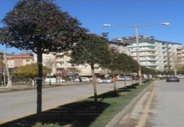 Milli Egemenlik Bulvarı trafiğe kapatıldı
