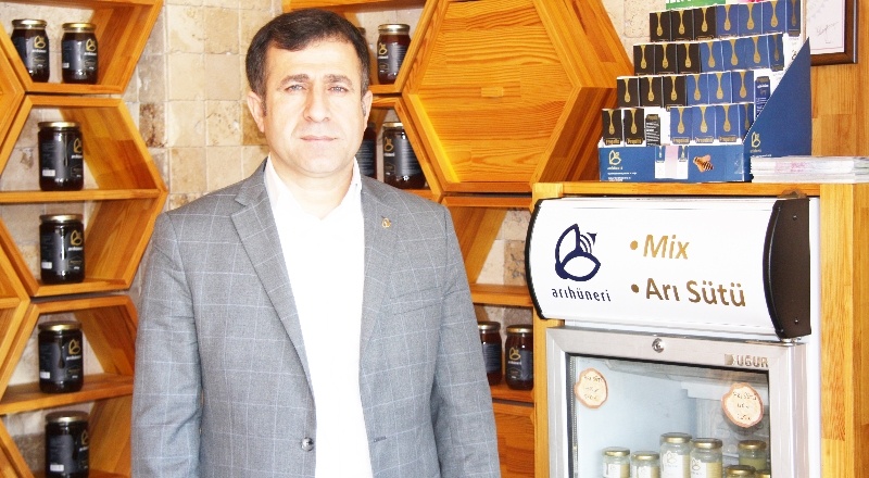 Milyonlarca arı, yok olma tehlikesi ile karşı karşıya
