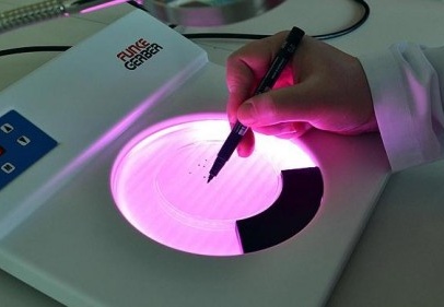 Milyonluk hibe için başvurular yarın başlıyor