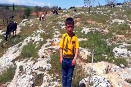 Minik çobanın şiiri sosyal medya kullanıcıları tarafından da paylaşıldı 
